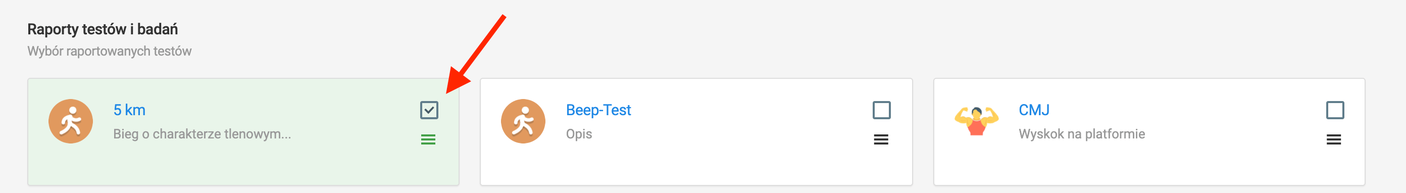 Raport testów